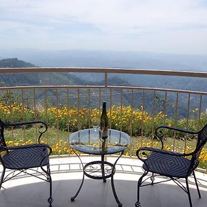 Garden View Room